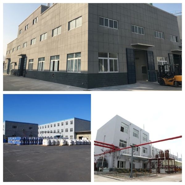 Çin Shandong Jiuchong Chemical Co., Ltd. şirket Profili