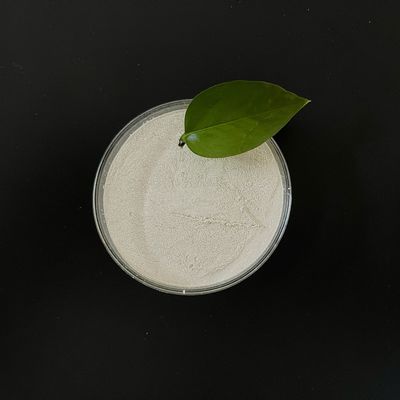 Ferrous Sulfate Monohydrate 91% Min for Agriculture Water Treatment